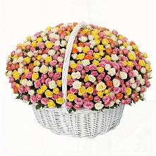 Премиум букет из: Розы в Боршева