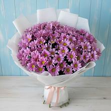 Букет цветов из:  Хризантемы в Боршева